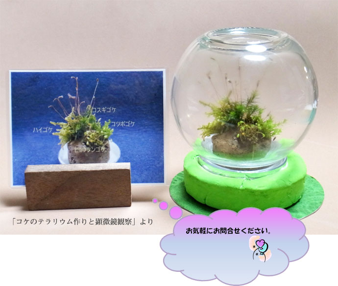 作品7