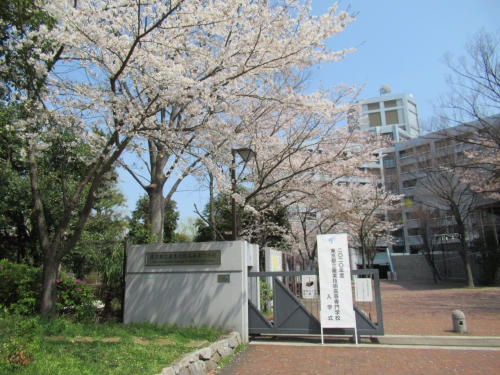 入学式看板と桜 荒川キャンパス